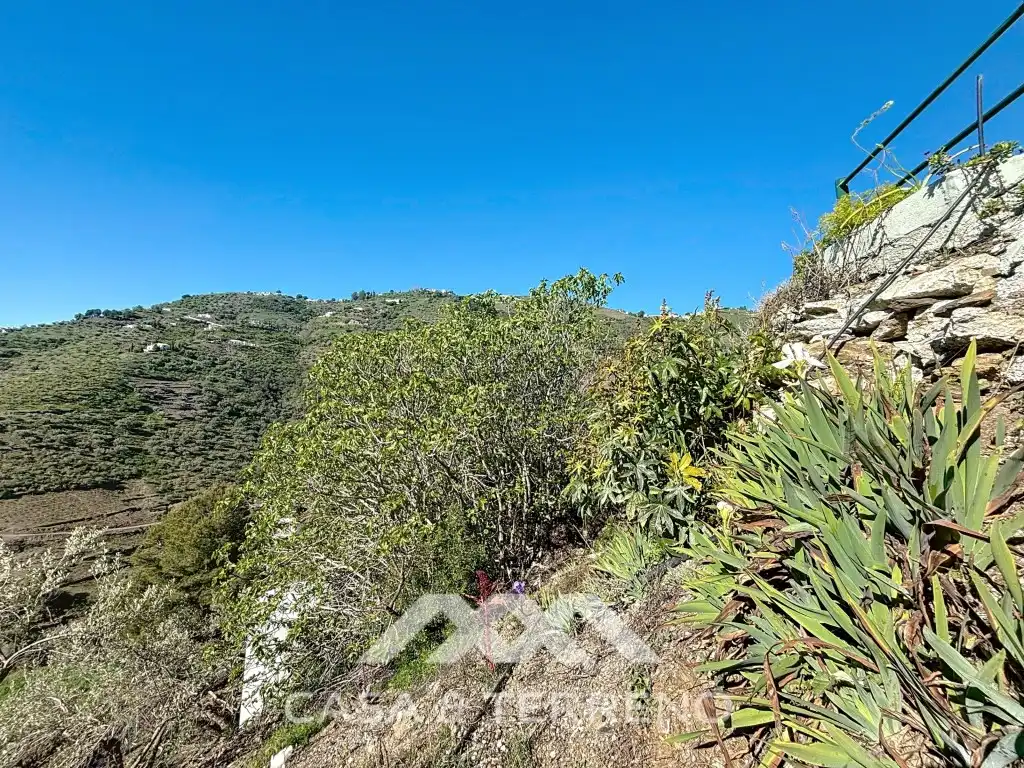 Detached house with pool for sale in Diseminados Cerrillo El, imagen 53