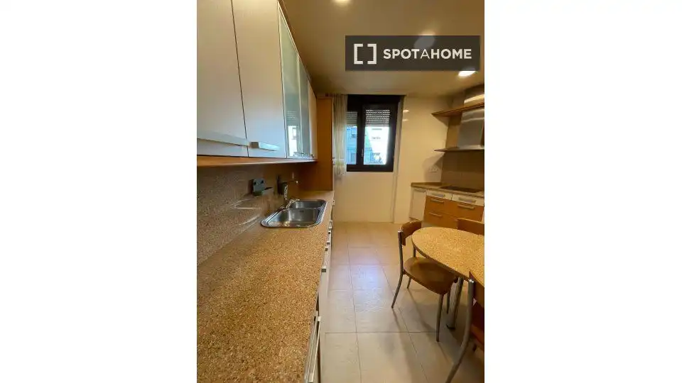 Cocina de Piso para compartir en Bilbao  con Aire acondicionado y Terraza