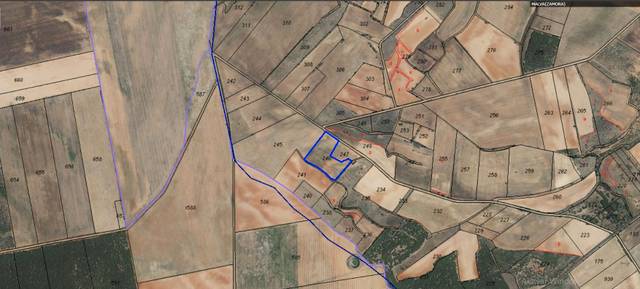 Terreno en Venta en Malva