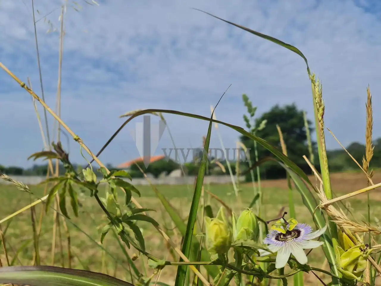 Residential land for sale in Tomiño, imagen 5
