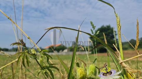 Photo 5 of Residential for sale in Tomiño, Pontevedra