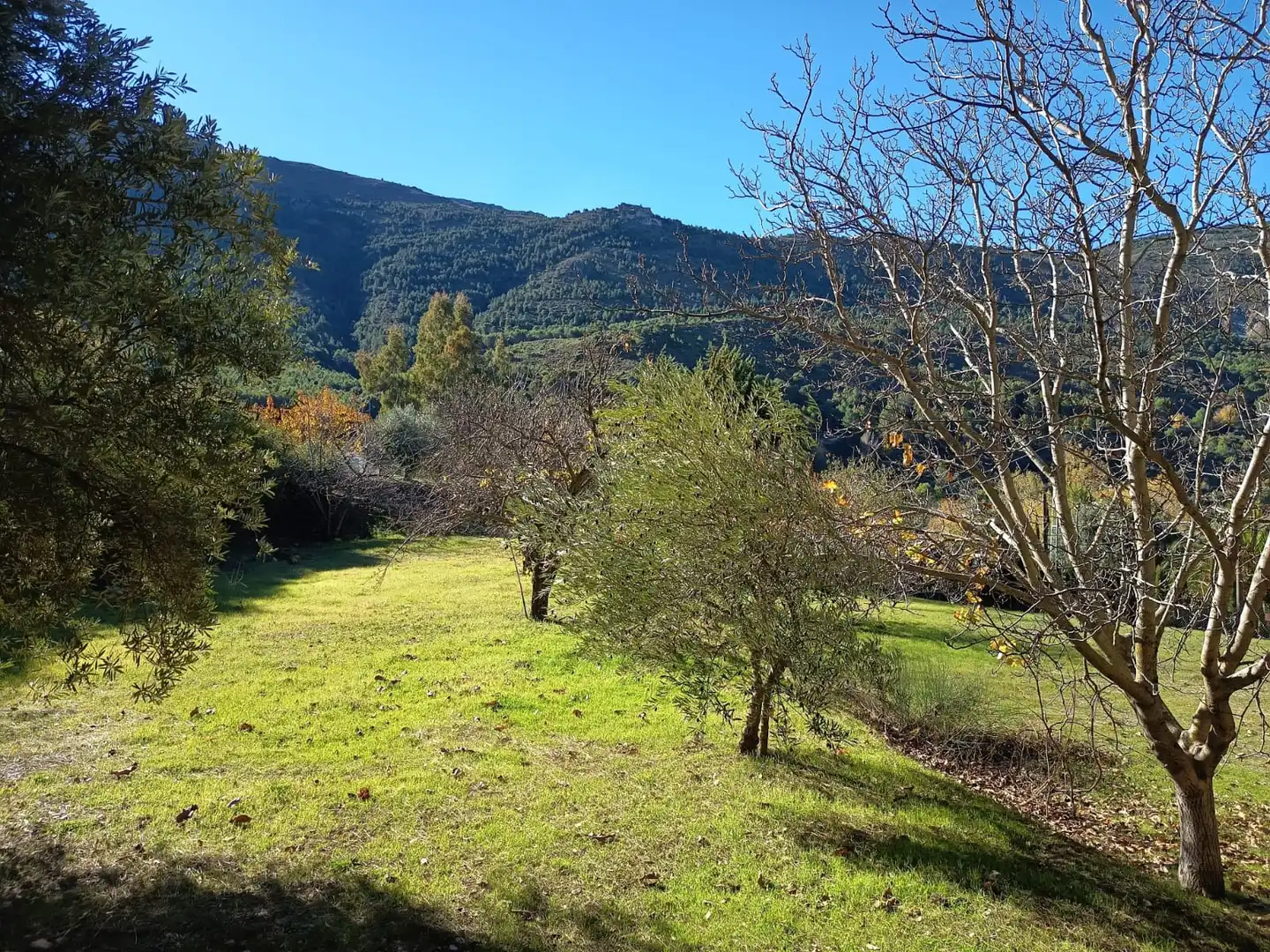Residencial en venta en Cuesta de los Pinos, Los Villares