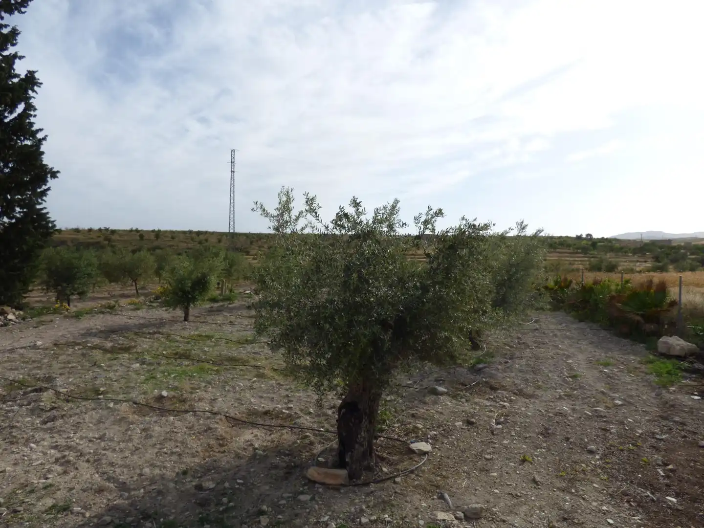 Finca rústica en venta en Uleila del Campo con Calefacción, Jardín privado y Piscina comunitaria