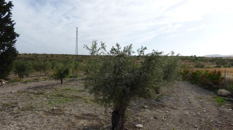 Foto 5 de Finca rústica en venta en Casablanca, Uleila del Campo, Almería