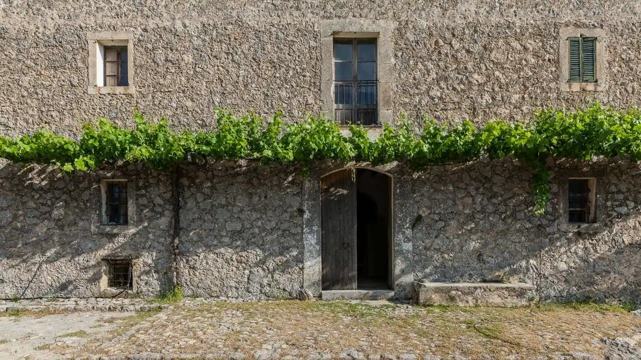 Vista exterior de Finca rústica en venta en Escorca con Jardín privado, Terraza y Trastero