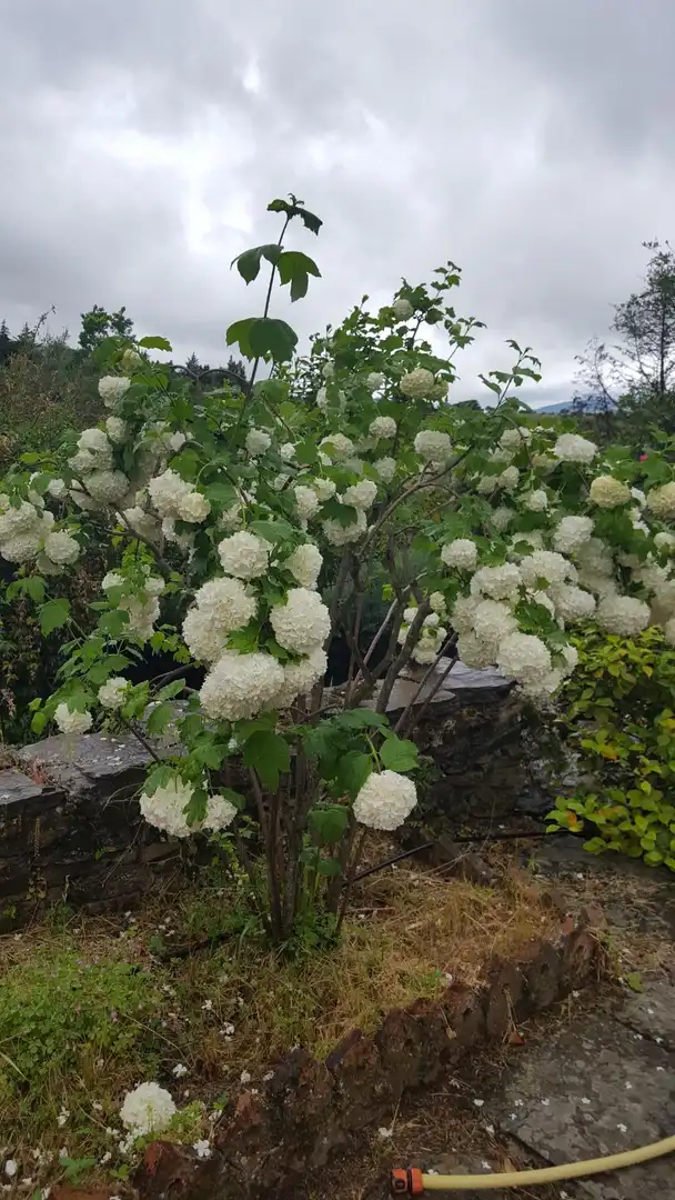 Jardí de Finca rústica en venda en Plasencia amb Aire condicionat, Calefacció i Jardí privat