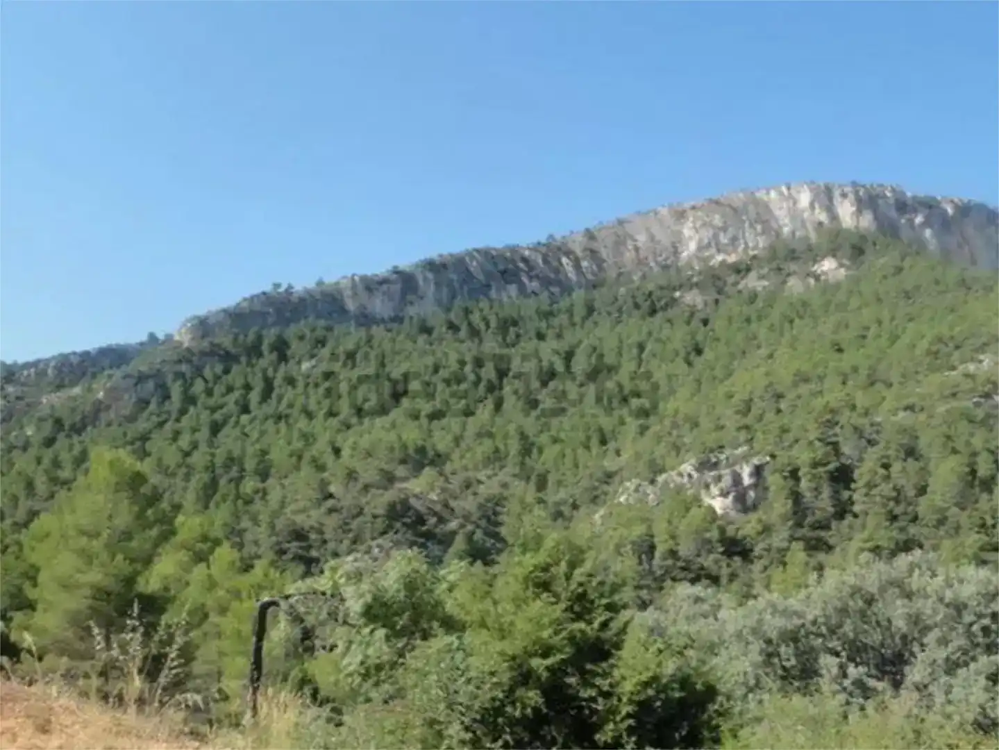 Finca rústica en venda en Peñarroya de Tastavins