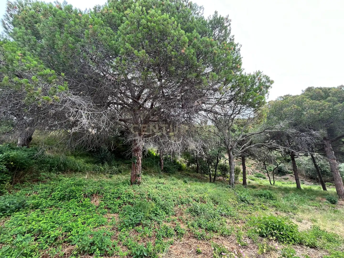 Residencial en venda en Mataró
