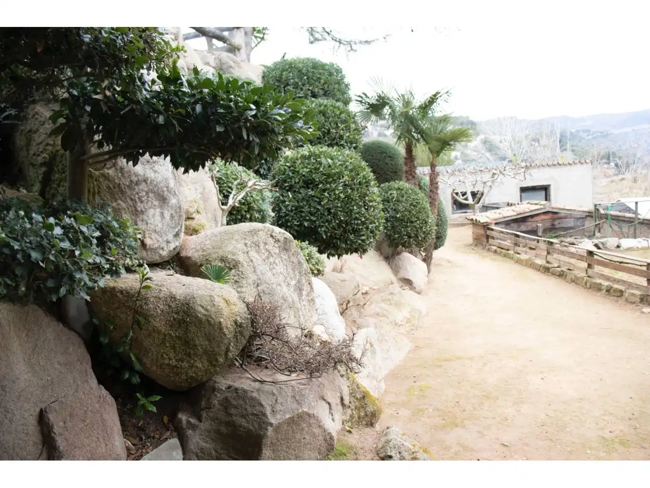 Maison avec piscine à vendre à Calle JOAQUIM MIR, imagen 16