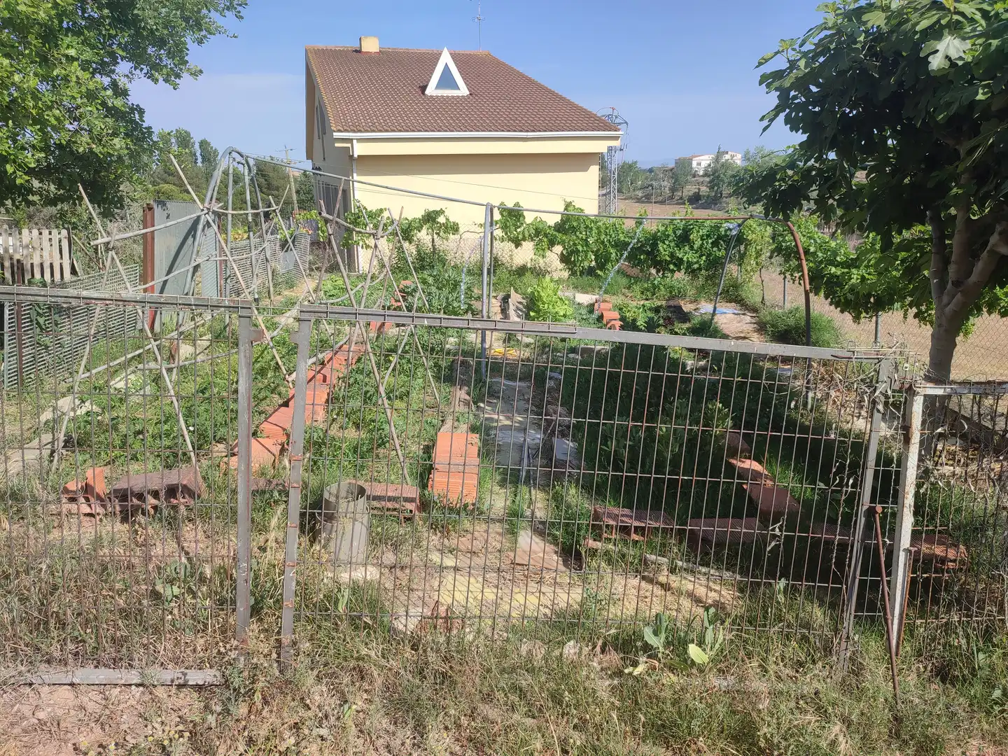 Villa avec terrasse à vendre à Les Borges Blanques, imagen 61