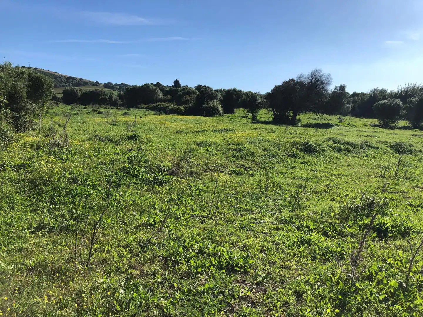 Country house for sale in Vejer, imagen 7