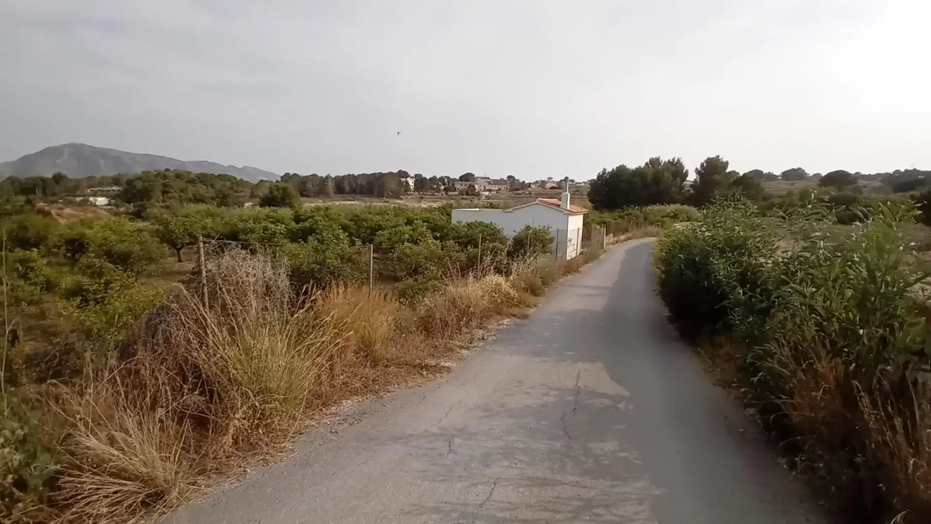 Rural land for sale in Altea ciudad, imagen 24