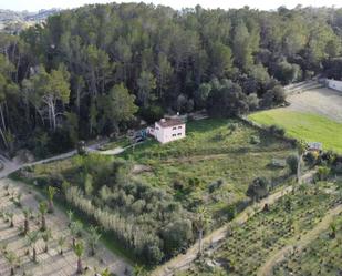 Finca rústica en venda en Llubí amb Terrassa