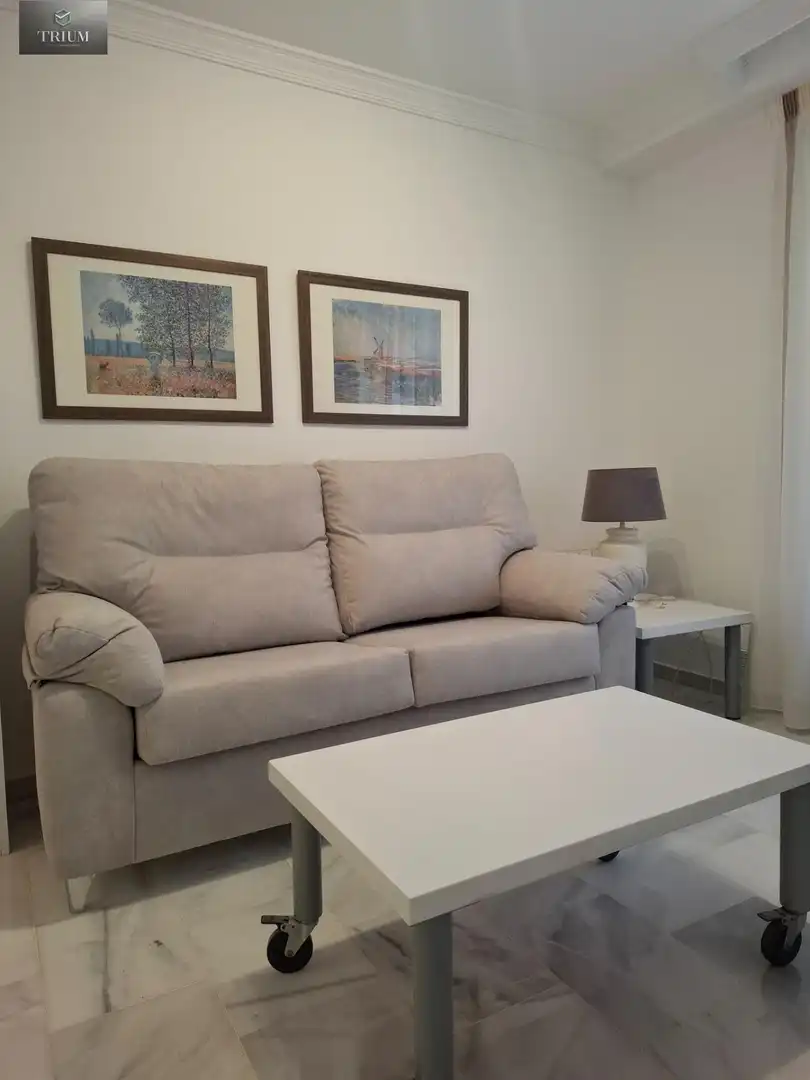 Living room of Flat for rent in Granada  with Heating and Furnished