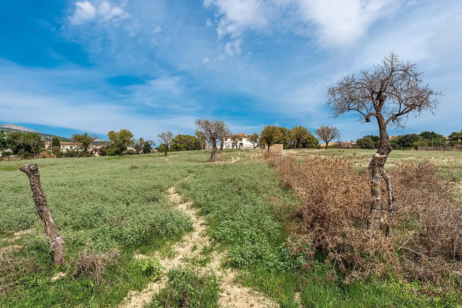 Country homes for sale in Campanet  with Private garden