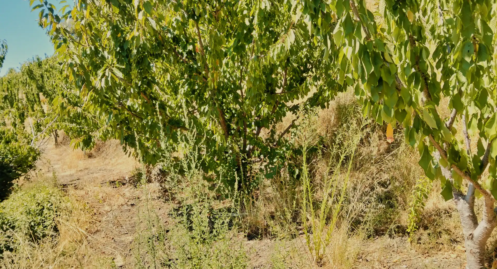 Terreni e lotti in vendita a N/A, imagen 11