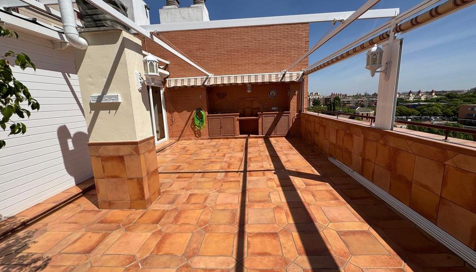Photo 1 of Attic to rent in Urbadiez - Entrepuentes, Sevilla