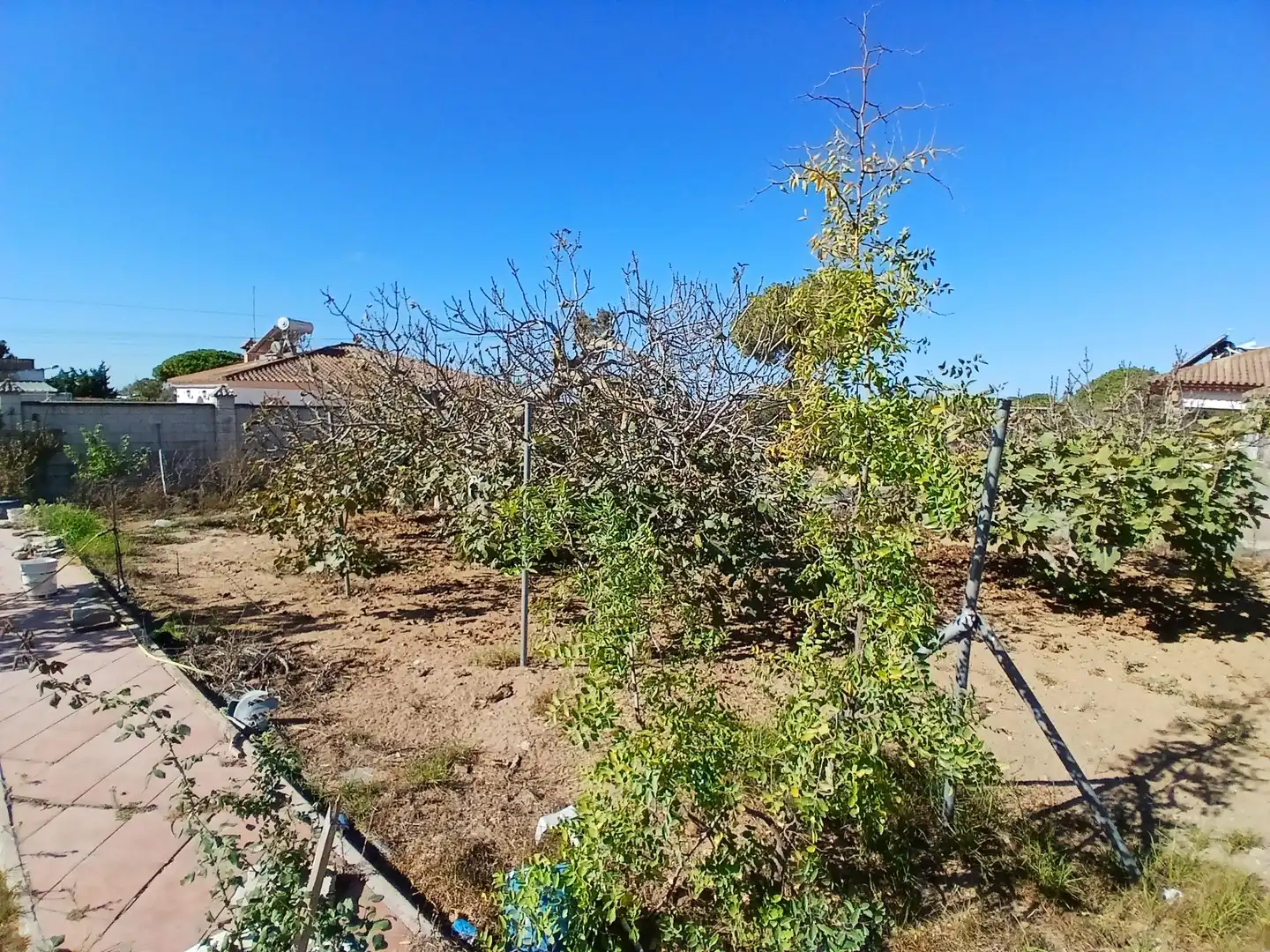 Casa o chalet en venta en Puerto Real con Piscina