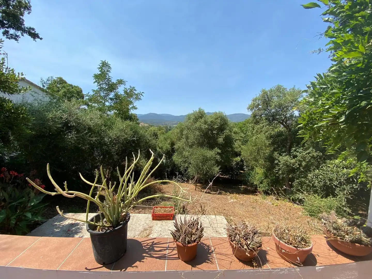 Jardí de Casa o xalet en venda en Los Barrios amb Jardí privat, Terrassa i Traster