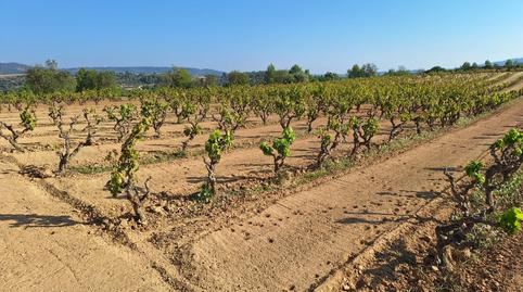 Photo 2 of Country house for sale in Bot, Tarragona