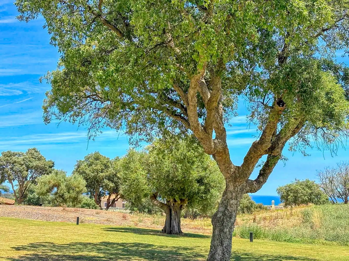 Casa aparellada amb piscina en venda a Sotogrande Alto, imagen 29