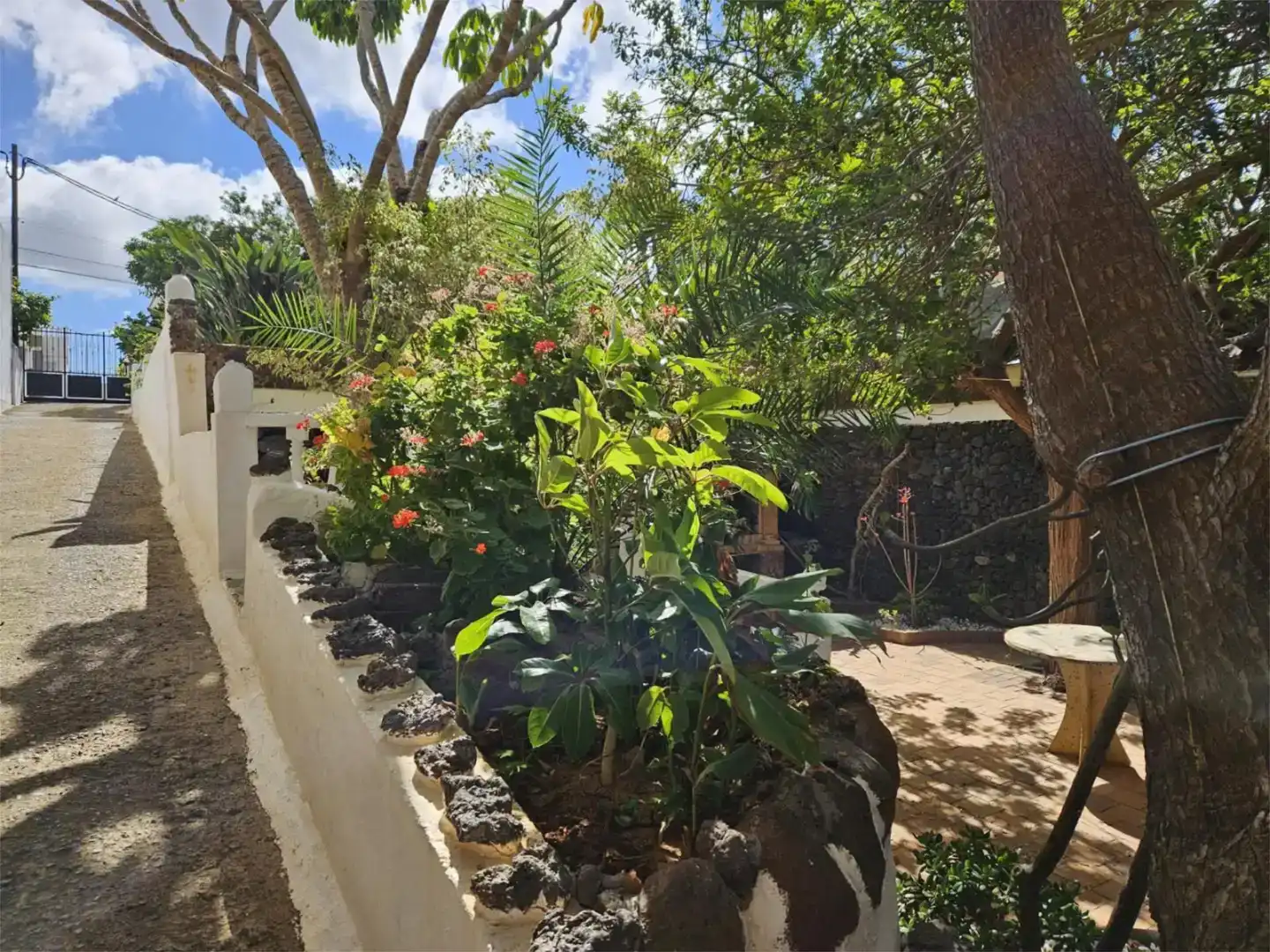 Garten von Erdgeschoss zur Miete in Las Palmas de Gran Canaria mit Privatgarten und Waschmaschine