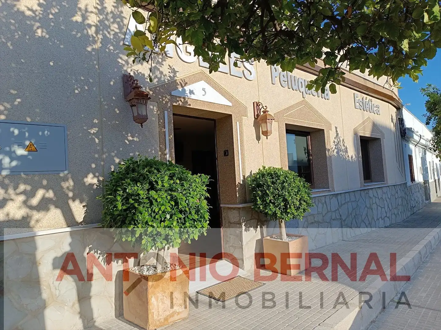 Business premises to rent in Arcos de la Frontera