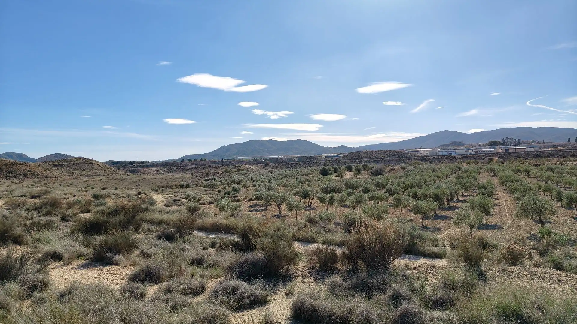Terreno rustico in vendita a Campo Alto - Club de Campo, imagen 2