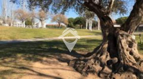 Photo 4 of Premises to rent in Països Catalans, Mas Duran, Barcelona