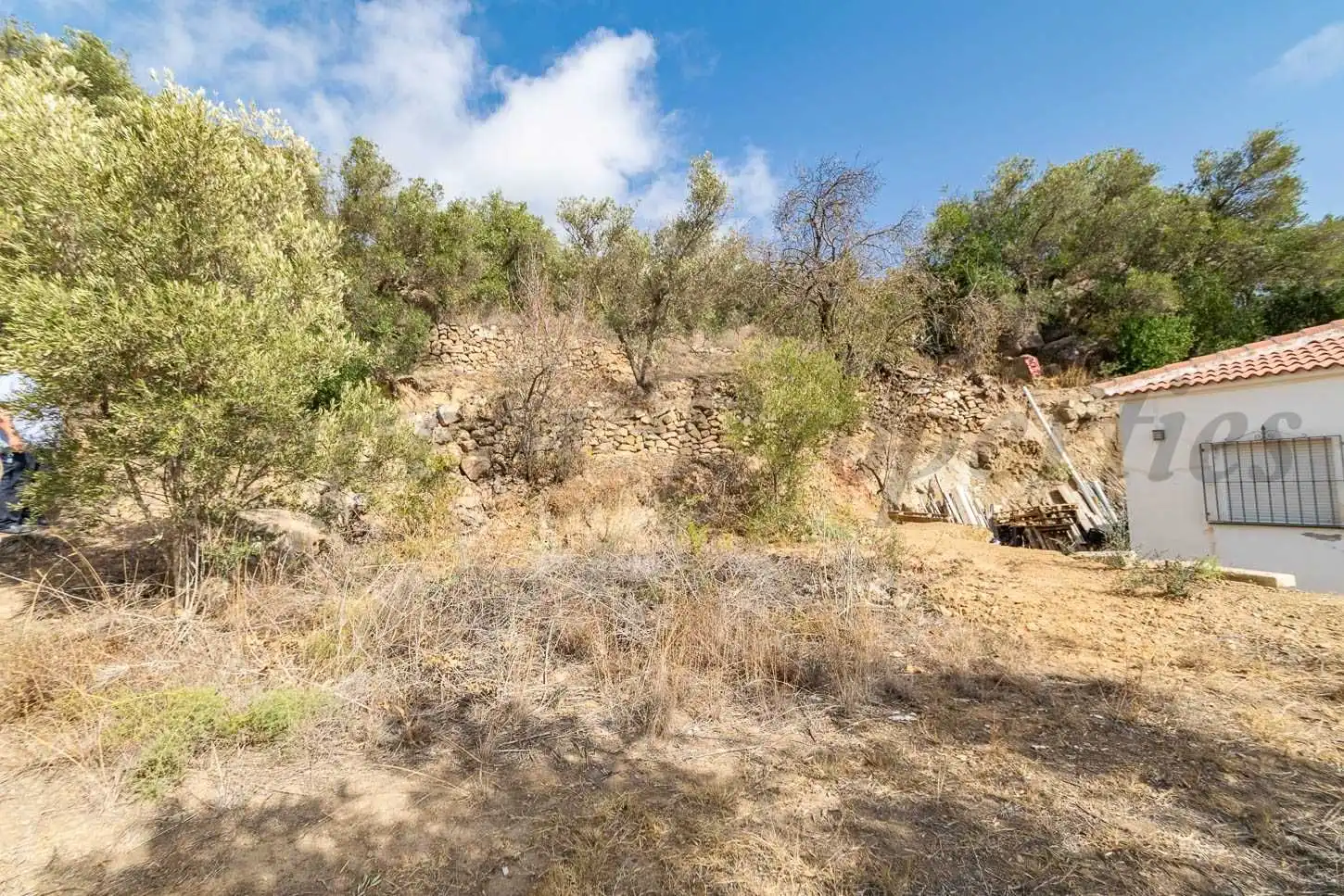 Terreno rústico en venta en Torrox Pueblo, imagen 4
