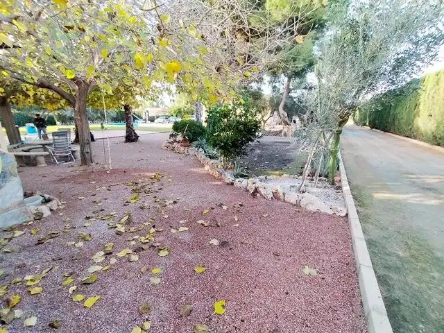 Exterior view of Houses for sale in Alicante / Alacant  with Private garden, Terrace and Swimming Pool