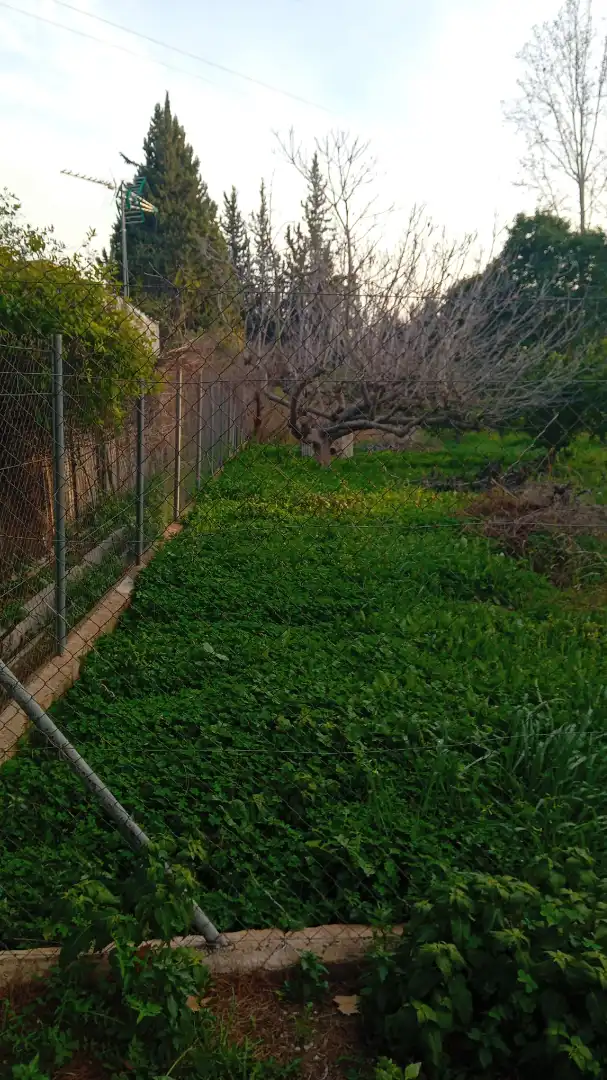 Land for sale in Era Alta