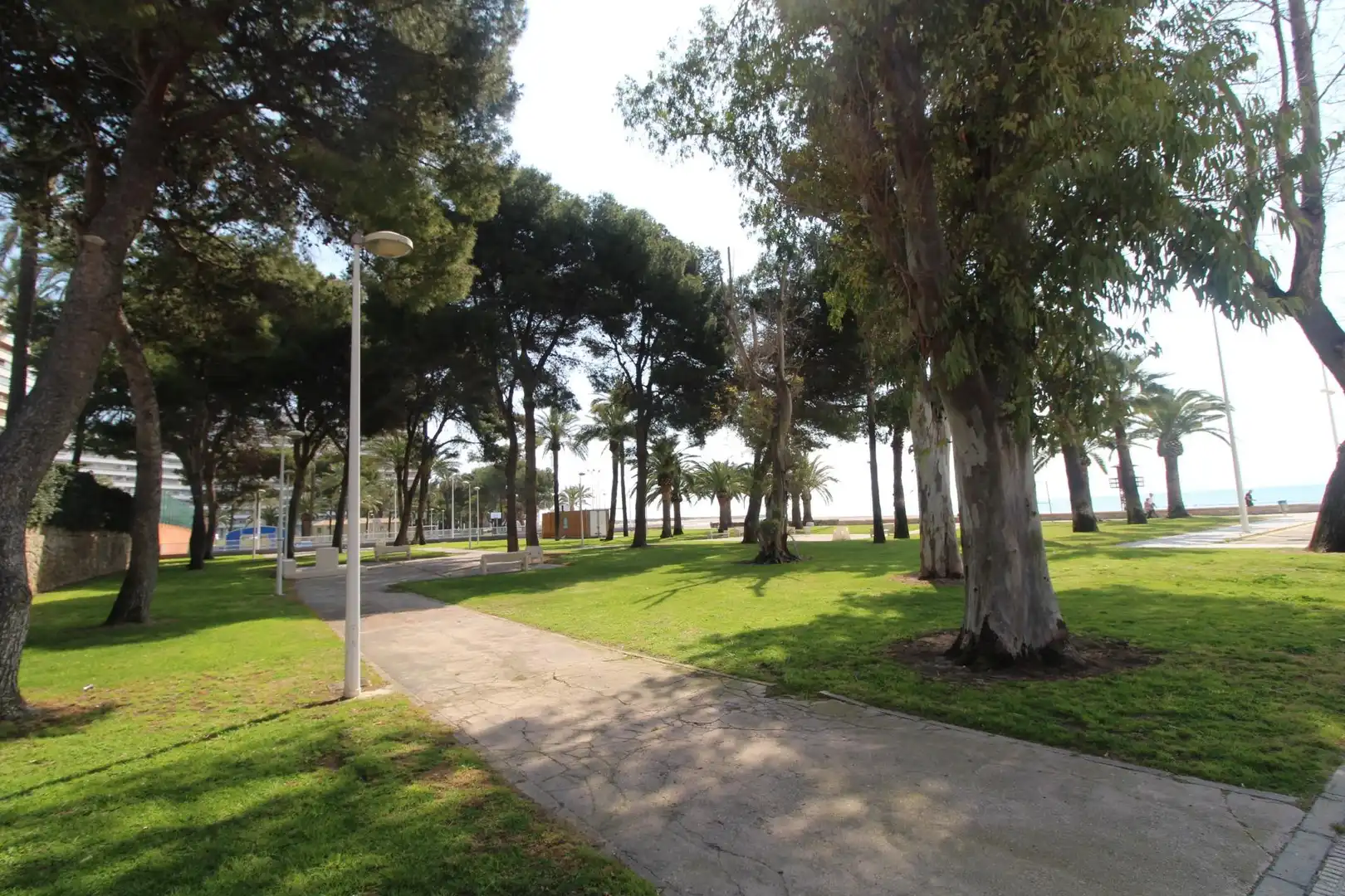 Vista exterior de Apartamento en venta en Cullera con Calefacción, Jardín privado y Terraza