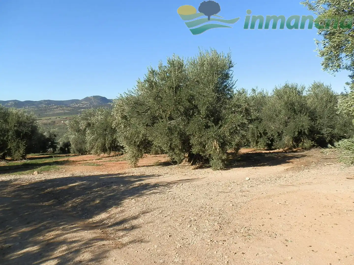 Terrain rustique à vendre à Puente de Génave, imagen 16