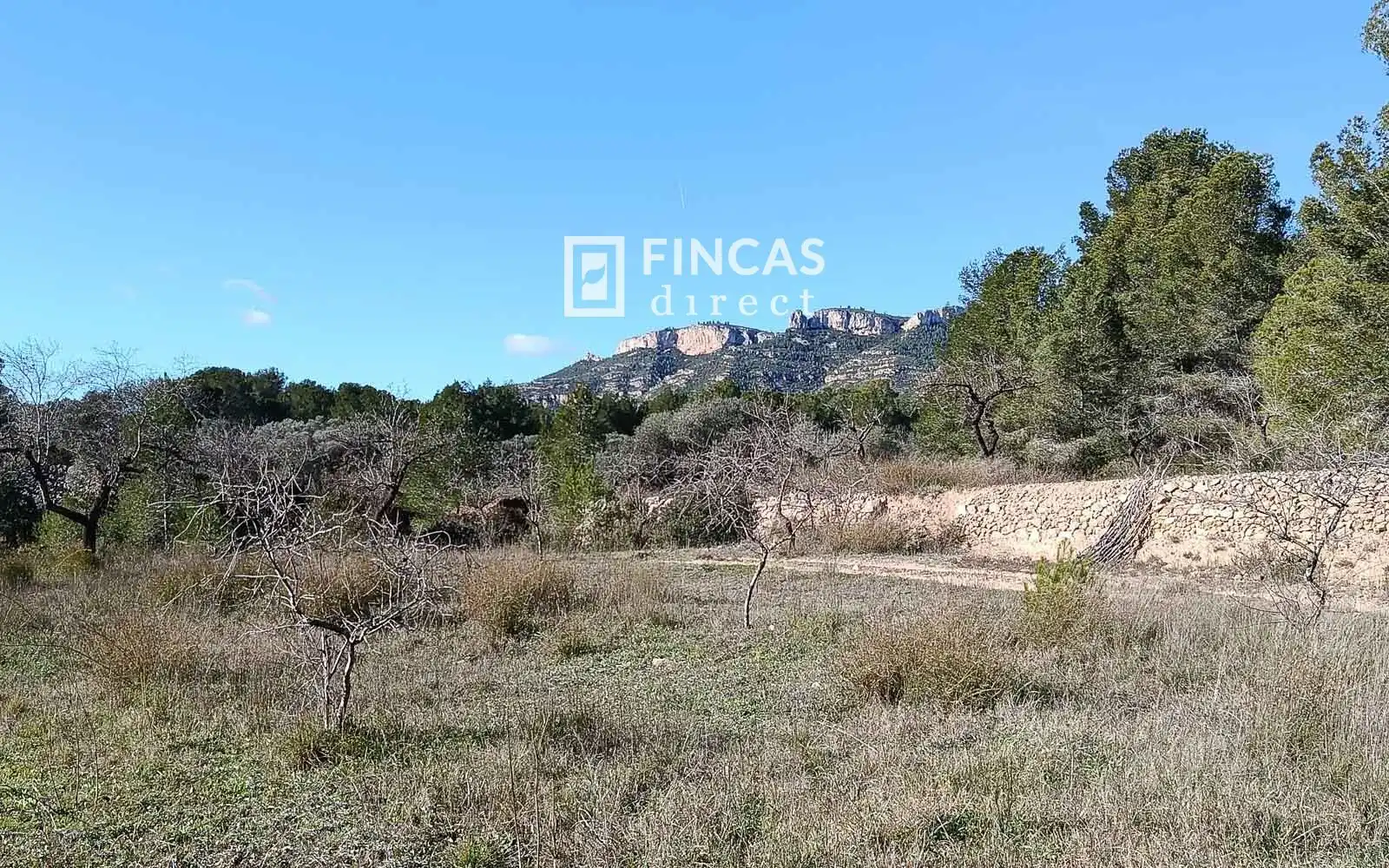 Finca rústica en venta en Miravet