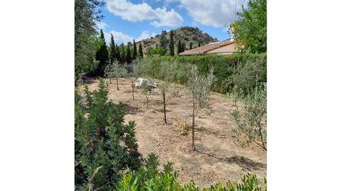 Foto 4 de Finca rústica en venda a Olvera, Cádiz