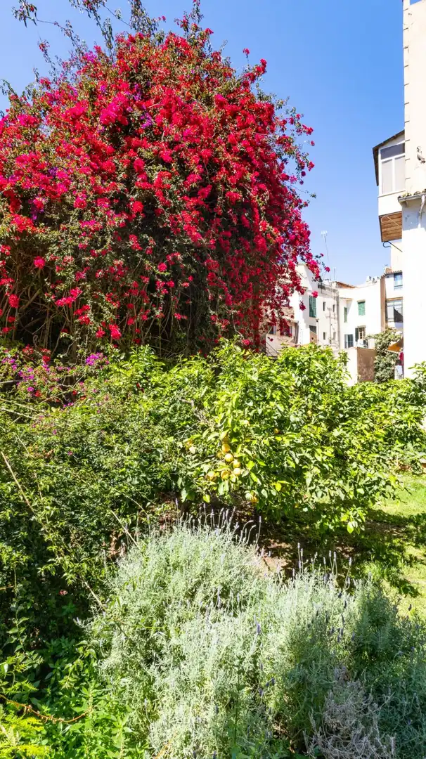 Jardín de Casa o chalet en venta en  Palma de Mallorca con Calefacción, Terraza y Trastero
