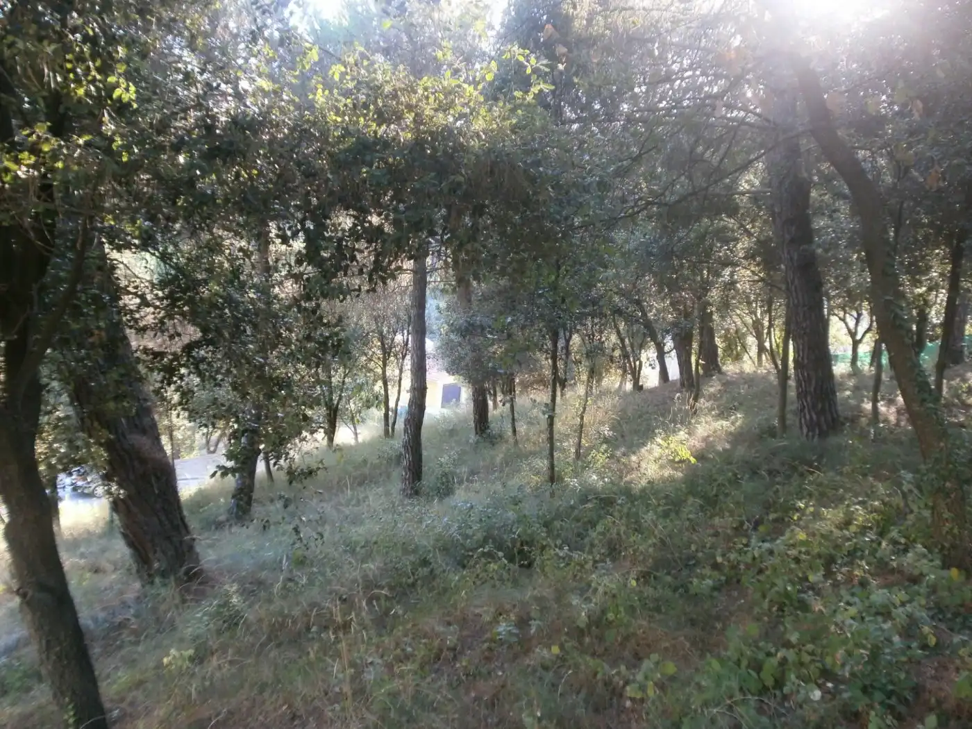 Wohnbaugrundstück zum Verkauf in Santa Maria de Palautordera, imagen 5