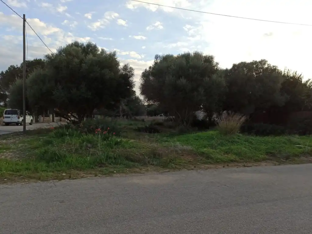 Terreny residencial en venda a Santanyí Poble, imagen 4