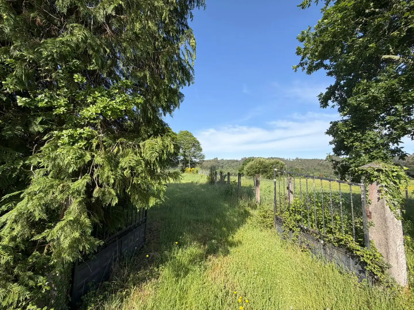 Finca rústica en venta en Xermade con Jardín privado