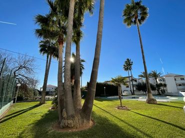 Wohnung mit Pool zum Verkauf in Alcossebre