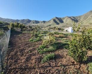 Residential for sale in Buenavista del Norte