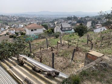 Terrenos y solares en venta en Calle SANTA LAURA