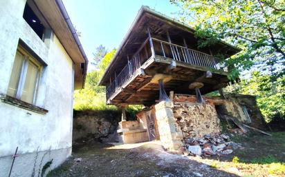 Exterior view of House or chalet for sale in Salas