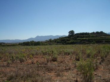 Terreny residencial en venda a 7