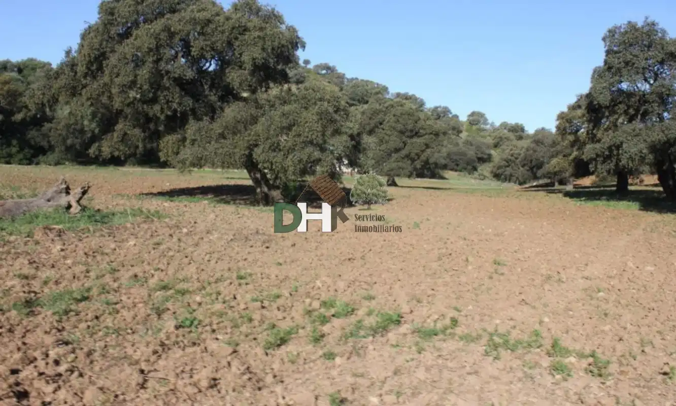 Terrenys i solars en venda a Norte, imagen 5