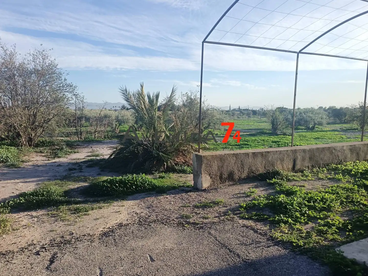 Houses for sale in Lorca