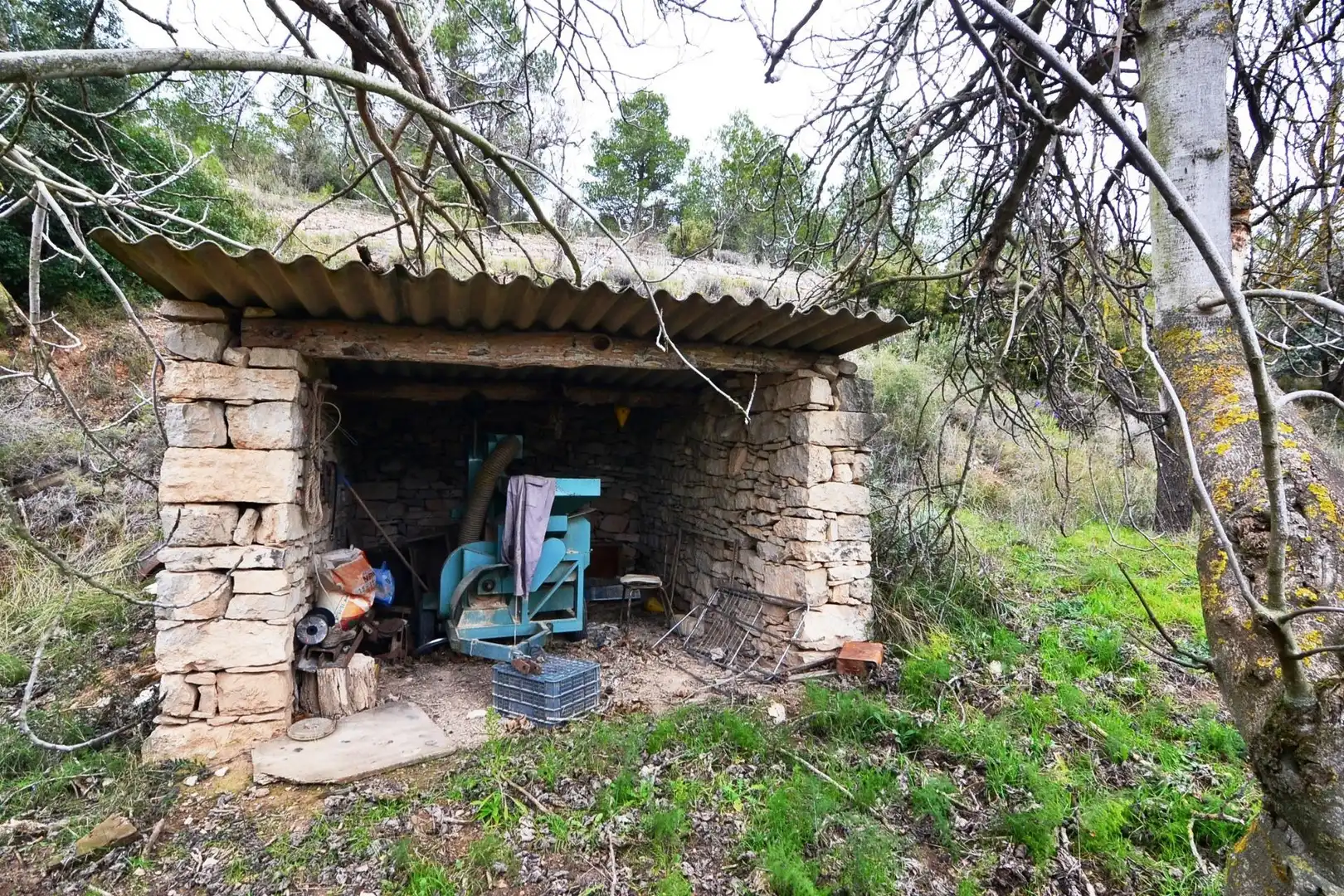 Jardín de Terreno en venta en Vilalba dels Arcs