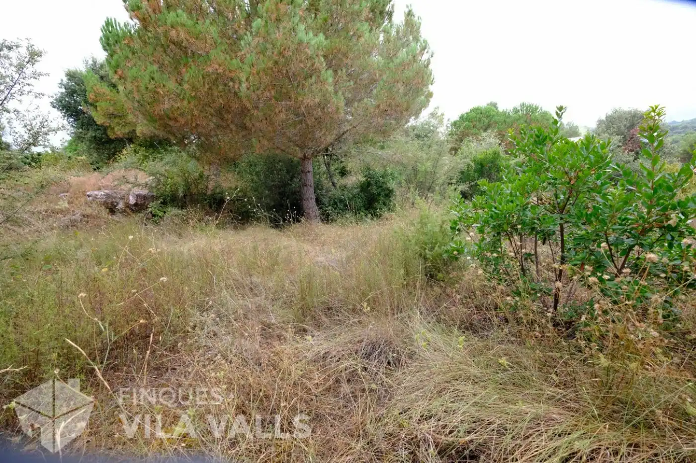 Terrenys i solars en venda a vinyetes, imagen 23