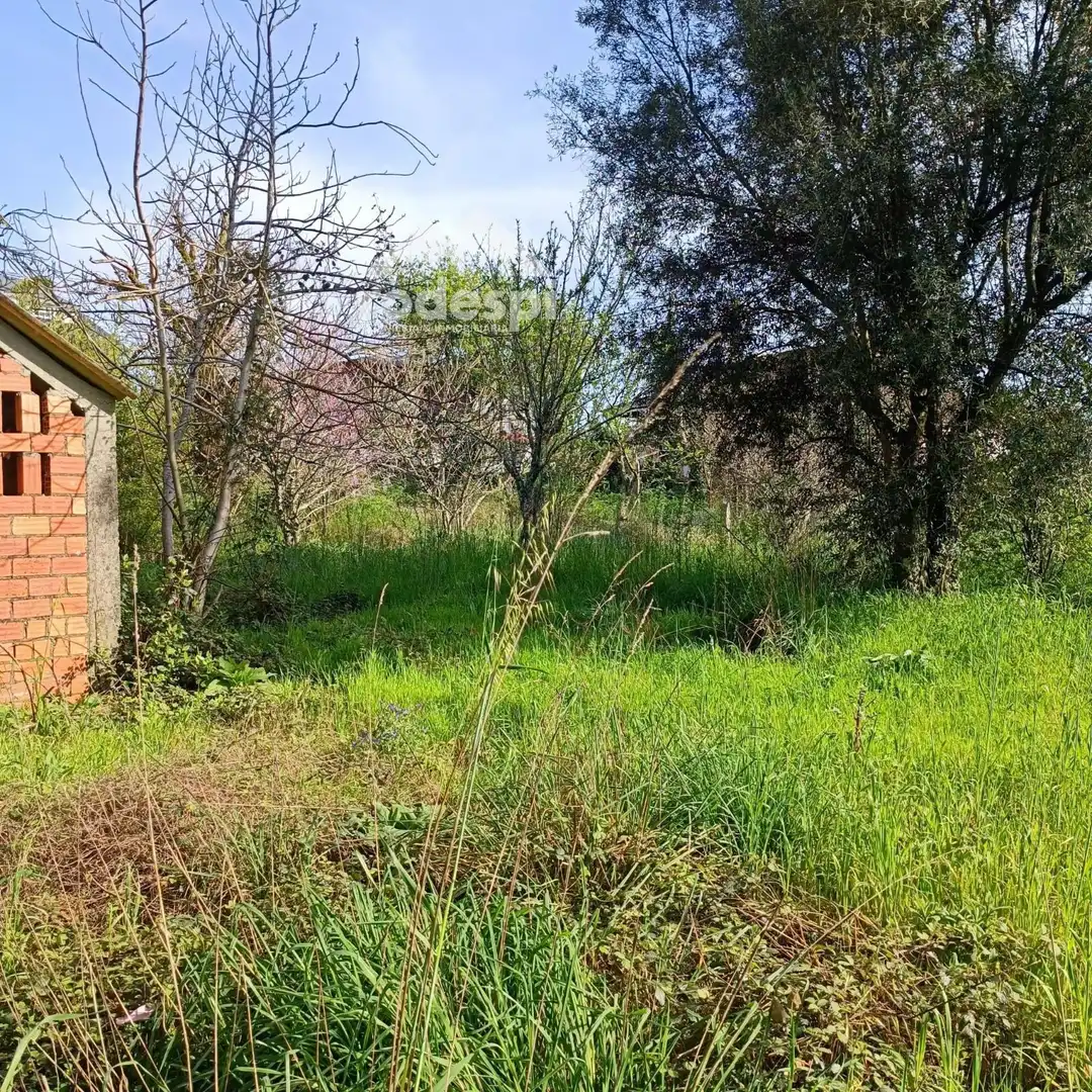 Detached homes for sale in Salvaterra de Miño